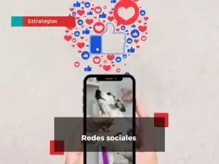 Estrategias de marketing en redes sociales para clínicas veterinarias