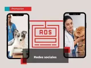 Promociona tus servicios Veterinarios en las Redes Sociales