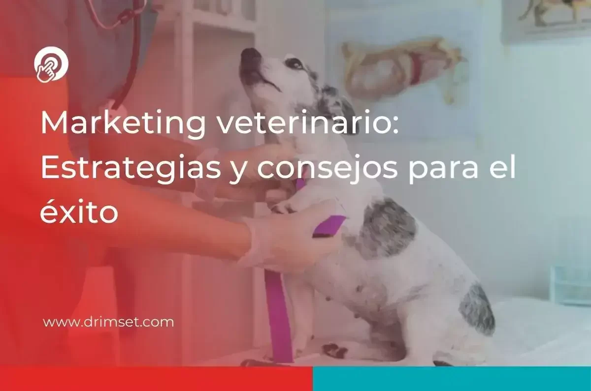 Marketing veterinario estrategias y consejos