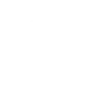 Desarrollo de Marca para Laumapet por Drimset: Transformando Conceptos en Identidades Visuales Únicas